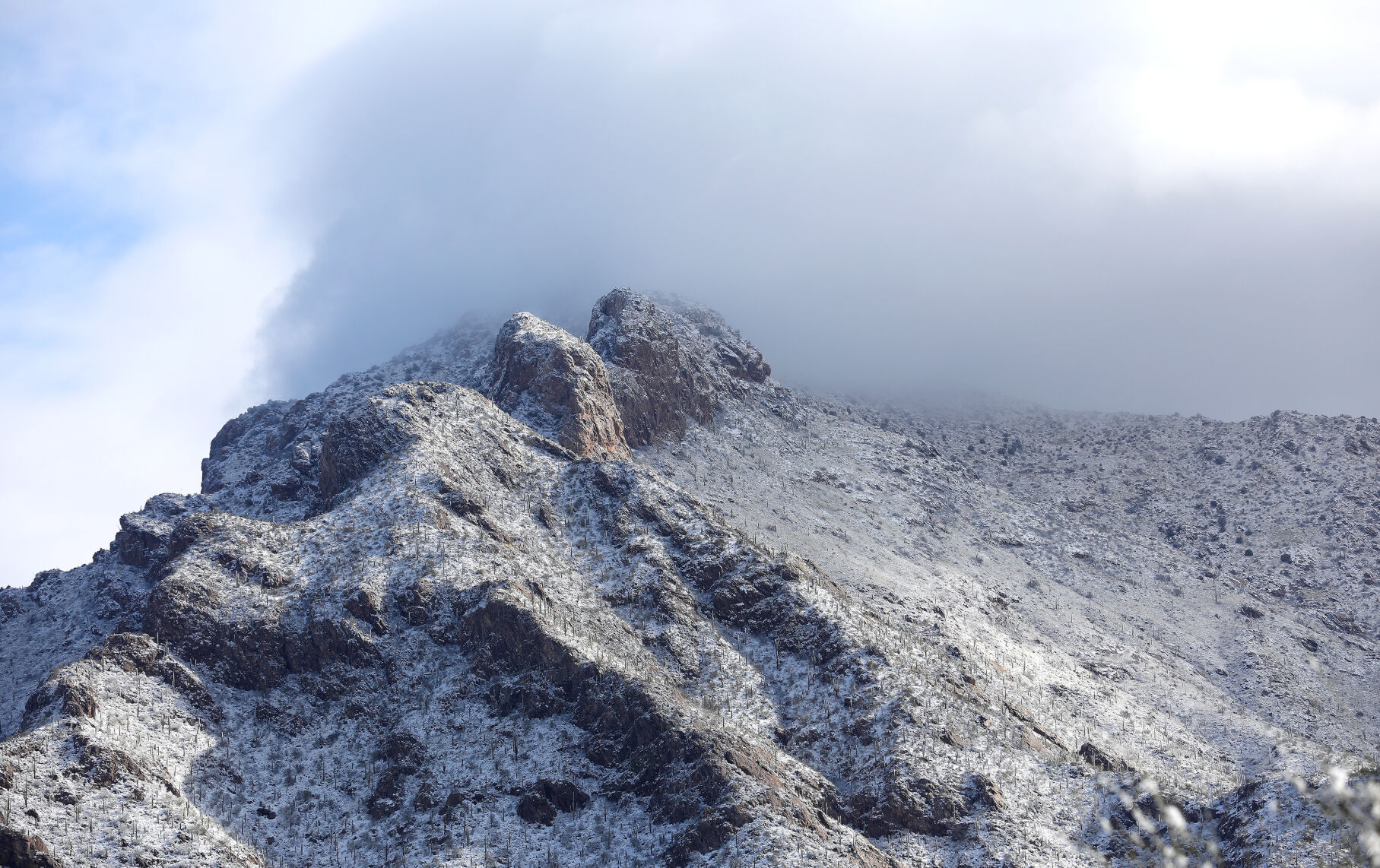 Snow, Tucson, 2023